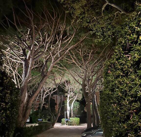 酒店 Hôtel Beau Rivage