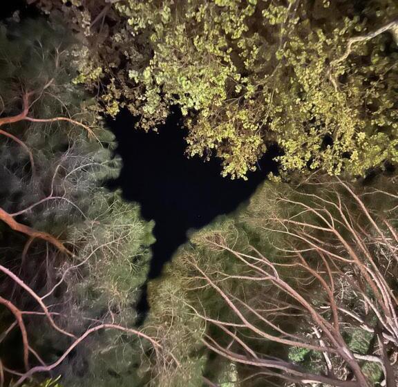 酒店 Hôtel Beau Rivage