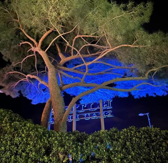 酒店 Hôtel Beau Rivage