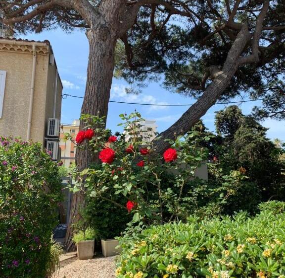 酒店 Hôtel Beau Rivage