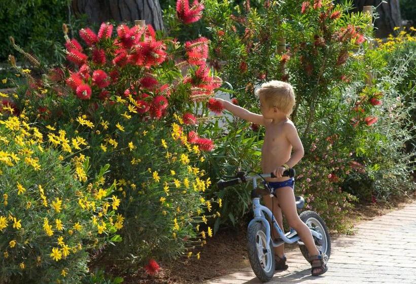 ホテル Il Mulinaccio