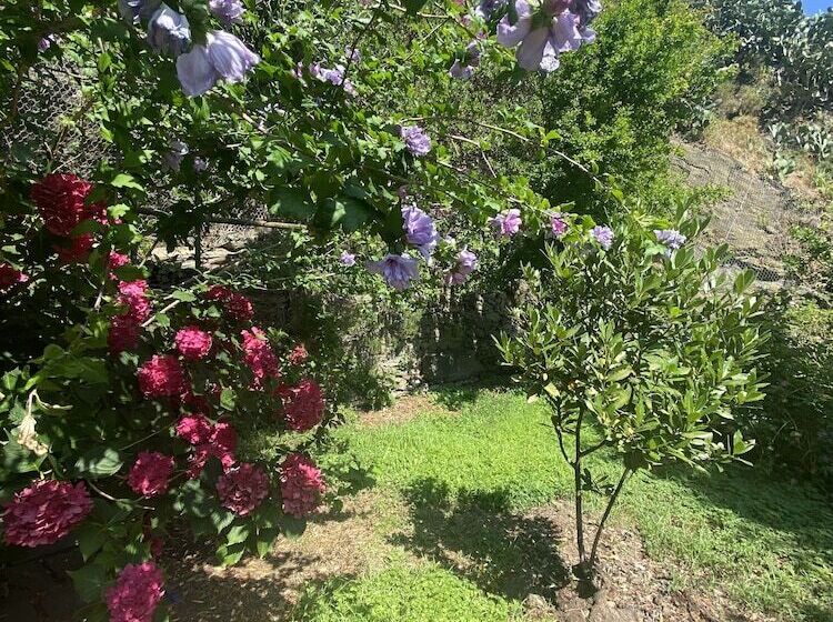 هتل Pensione Sorriso