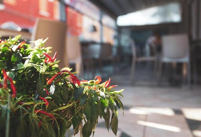 호텔 Venezia Vasto