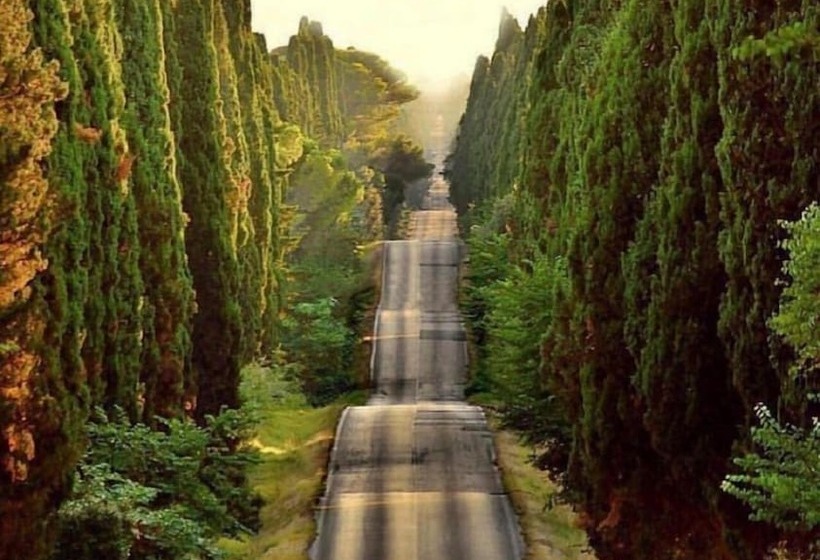 ホテル Villa Dei Gerani