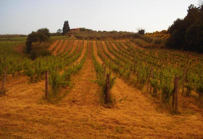 Il Cielo Bio   Il Più Piccolo B&b Del Chianti