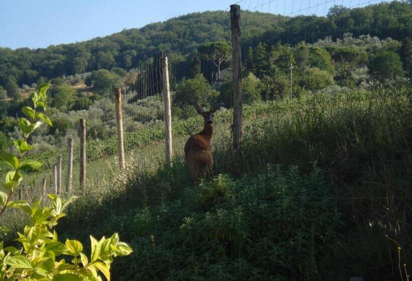 Il Cielo Bio   Il Più Piccolo B&b Del Chianti