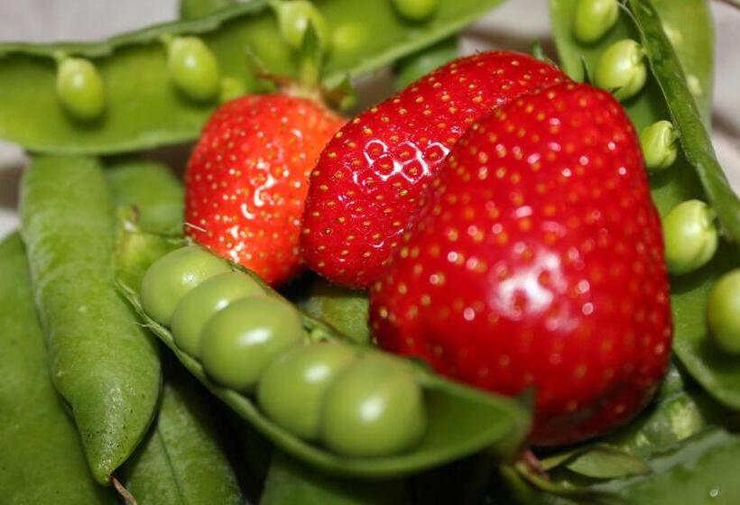 Il Cielo Bio   Il Più Piccolo B&b Del Chianti