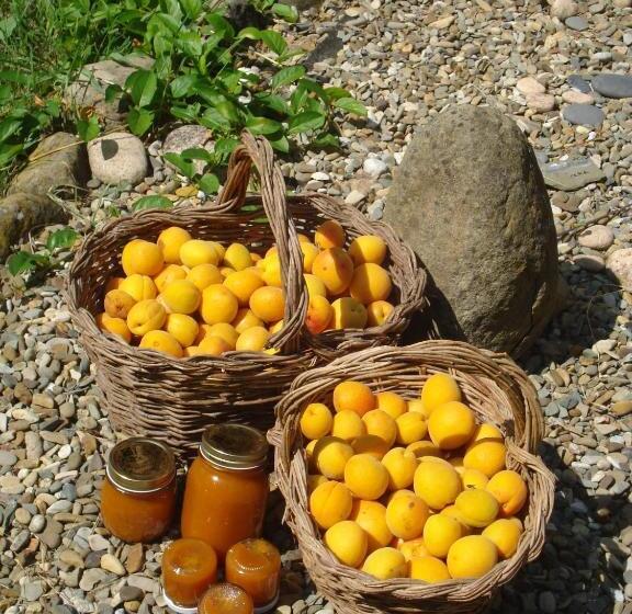 Il Cielo Bio   Il Più Piccolo B&b Del Chianti