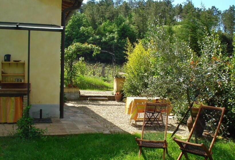 Il Cielo Bio   Il Più Piccolo B&b Del Chianti