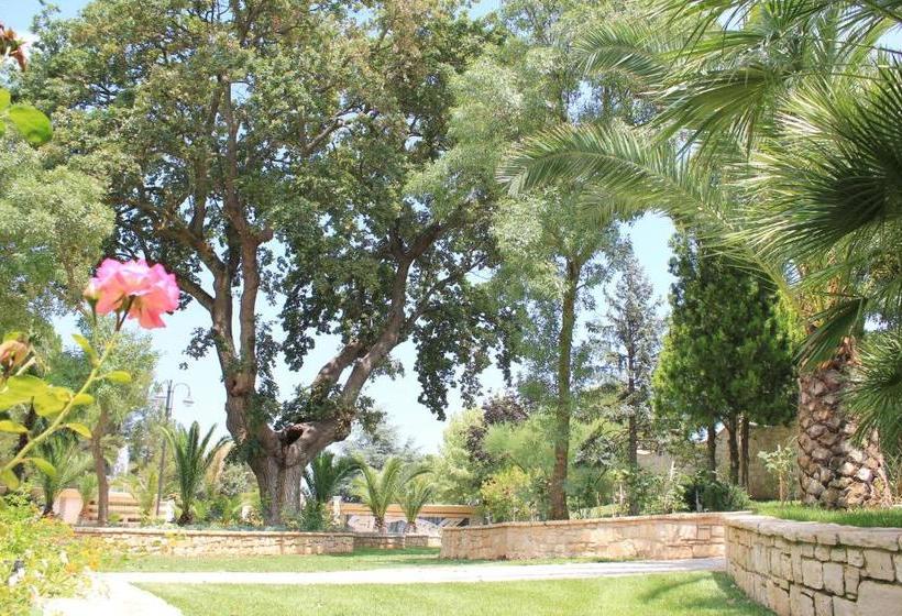 Il Portico Luxury B&b