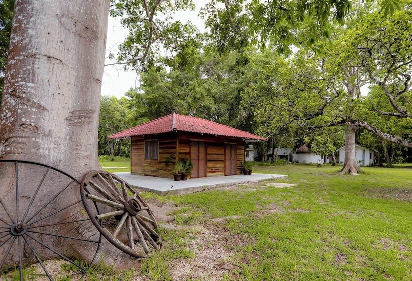 Mayan Secret Hotel Boutique