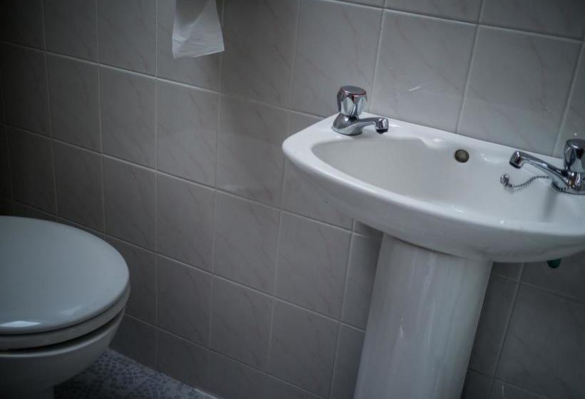 مبيت وإفطار The Dingle Pub Rooms