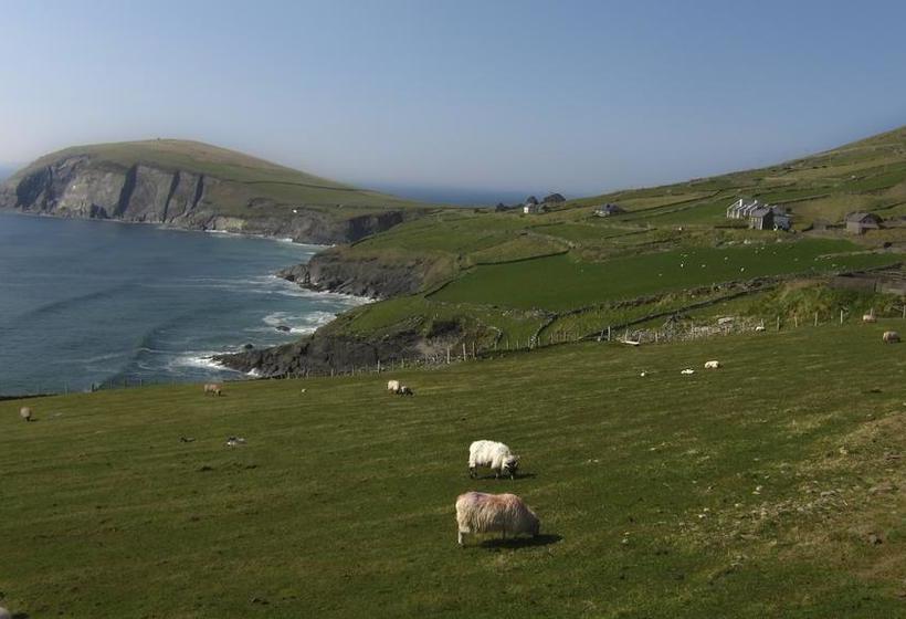 مبيت وإفطار The Dingle Pub Rooms