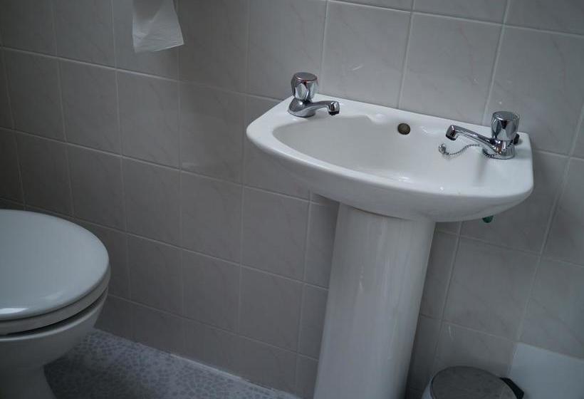 مبيت وإفطار The Dingle Pub Rooms