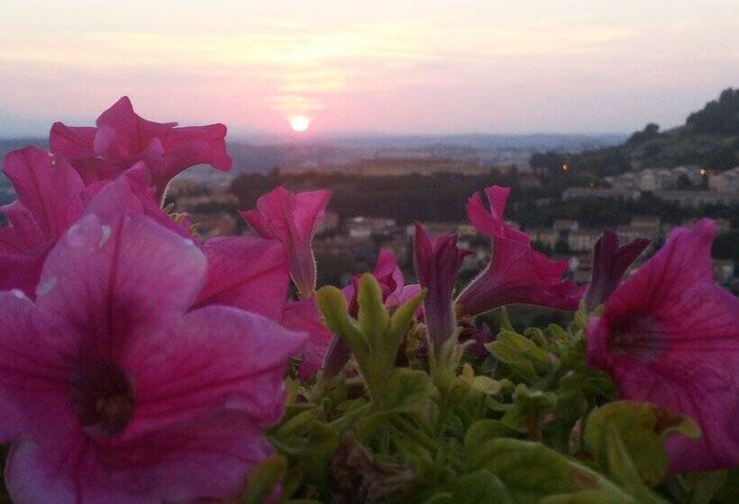 B&b Le Terrazze Fermo