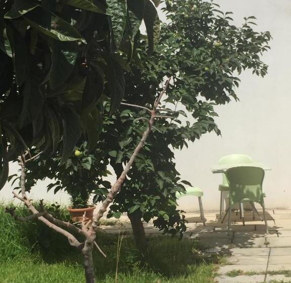 مبيت وإفطار Affittacamere Room And Breakfast Antonuccio