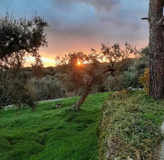 צימר Alla Panoramica