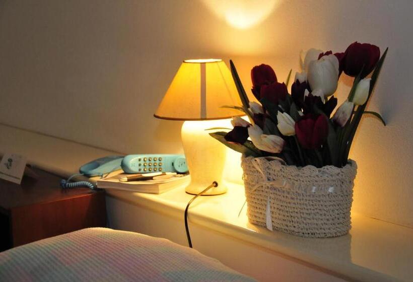 مبيت وإفطار Casablanca