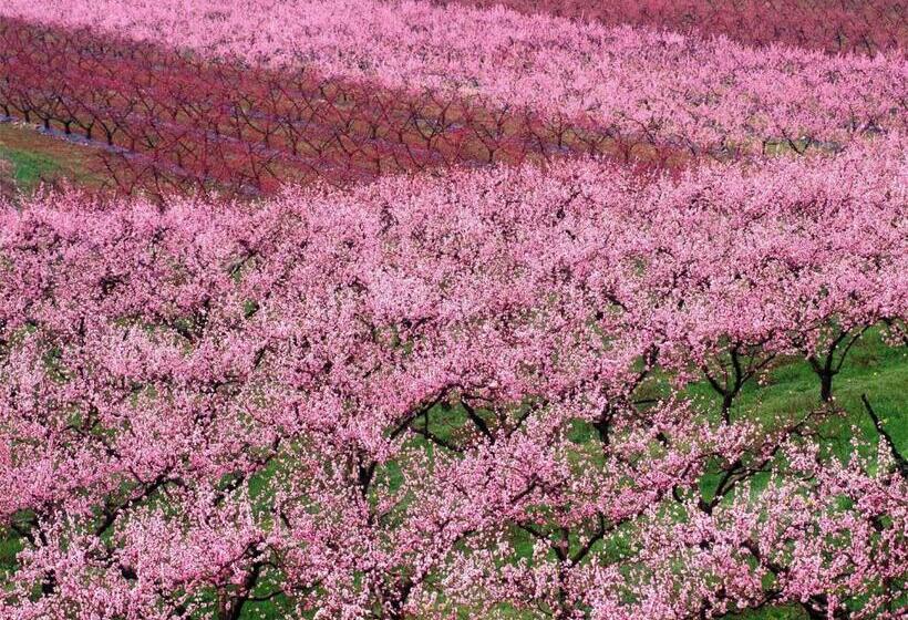 ベッドアンドブレックファースト Girelli Sorelle