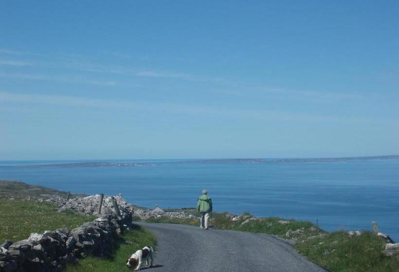 住宿加早餐 Greenlawn Lodge