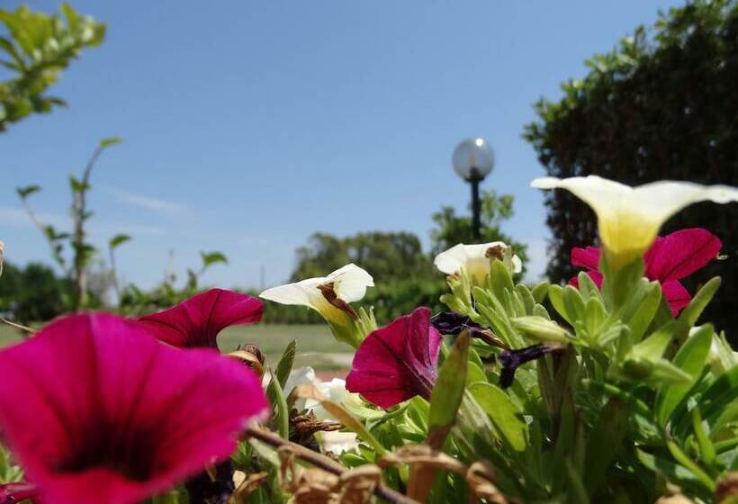 ベッドアンドブレックファースト Il Pagio