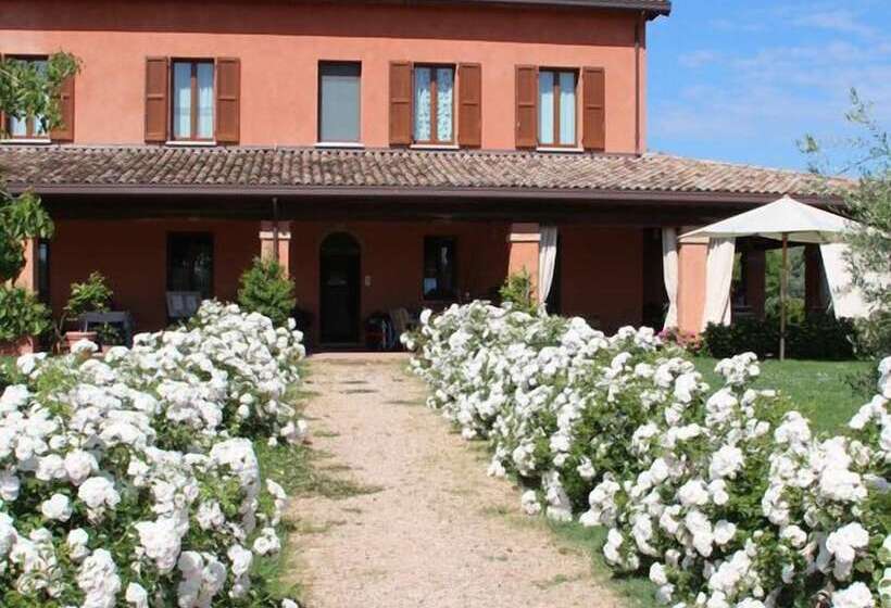 ベッドアンドブレックファースト La Fornasaccia