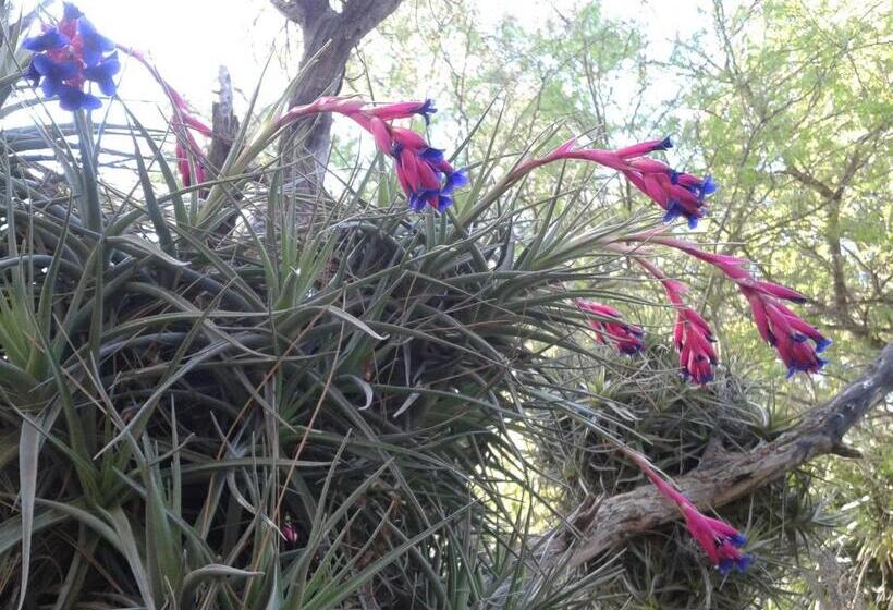 مبيت وإفطار Locanda Dei Buoni E Cattivi