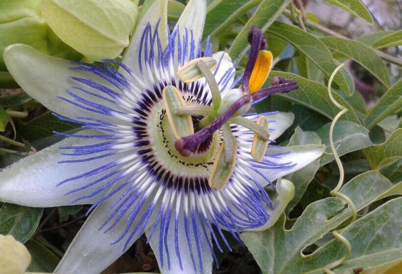 مبيت وإفطار Locanda Dei Buoni E Cattivi