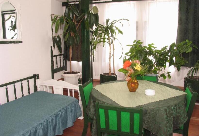 Bed and Breakfast Pensiunea Ana Maria
