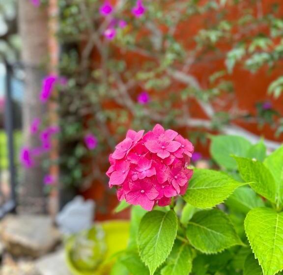 צימר Relais San Damian