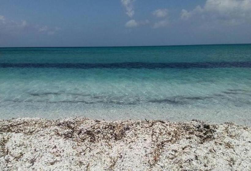 Bed and Breakfast Roccabianca Rooms & Studios