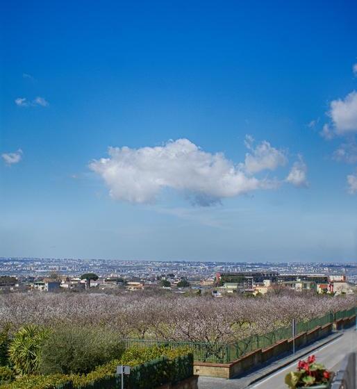 Bed And Breakfast Sommavesuvio
