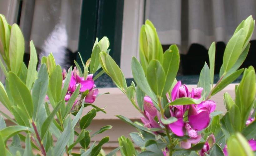 مبيت وإفطار Villa Le Luci