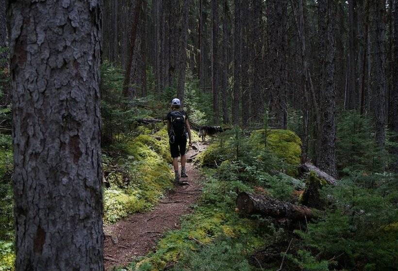 민박 Whitewater Lodge