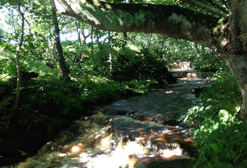 Bed and Breakfast Woodwick House