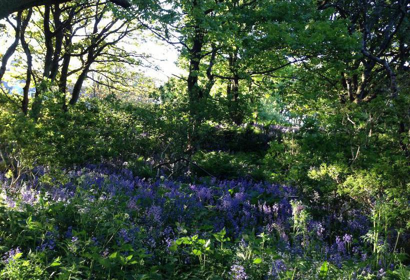 Bed and Breakfast Woodwick House