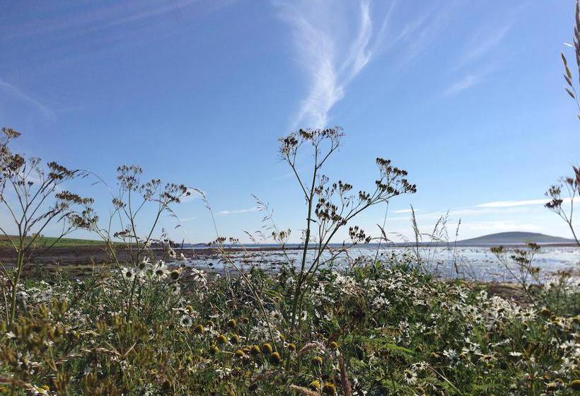 Bed and Breakfast Woodwick House