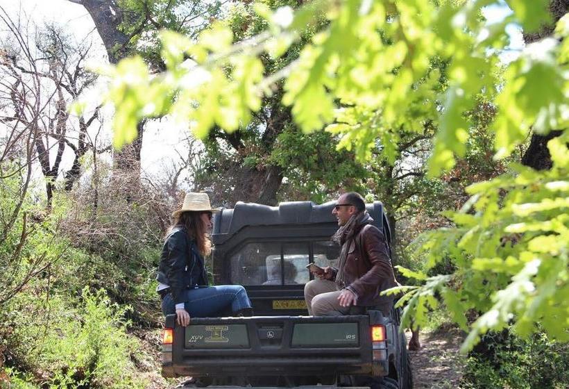 ベッドアンドブレックファースト Wundergarten Dimora Dei Frati