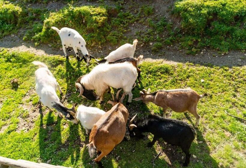 Familienhotel Unterreith