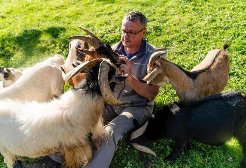 Familienhotel Unterreith