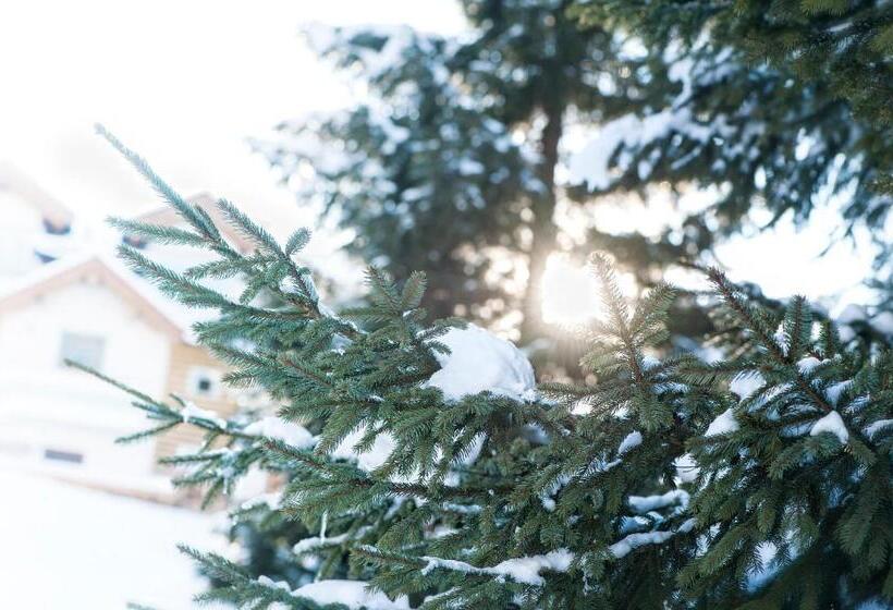 Garnì Aurora Bed And Breakfast