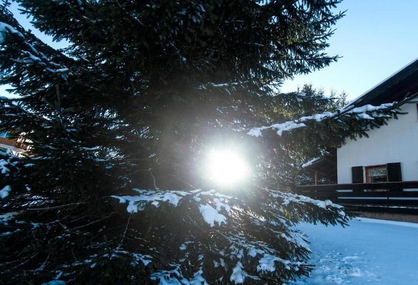 Garnì Aurora Bed And Breakfast