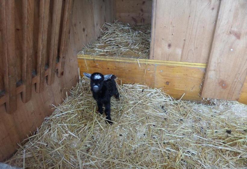 Hostel Rotschuo Jugend  Und Familienferien