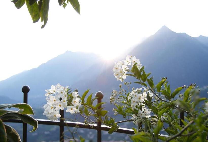 هتل Alpenrose