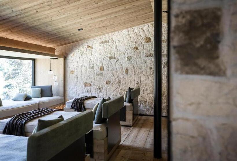 酒店 Alpine Spa Resort Viktoria