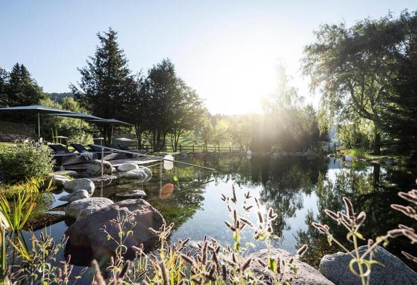 酒店 Alpine Spa Resort Viktoria