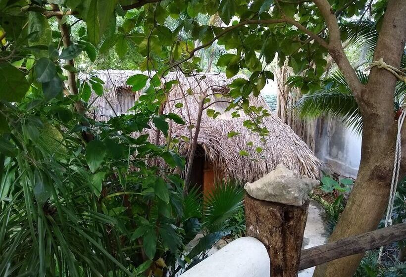 בית מלון כפרי Casitas Kinsol