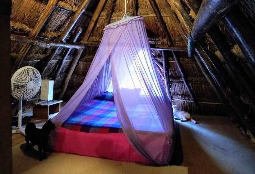 בית מלון כפרי Casitas Kinsol