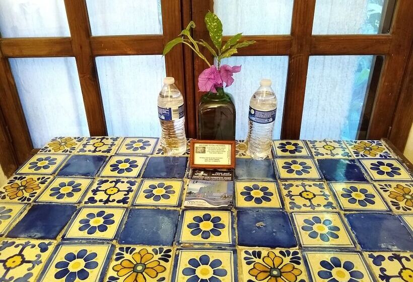 בית מלון כפרי Casitas Kinsol