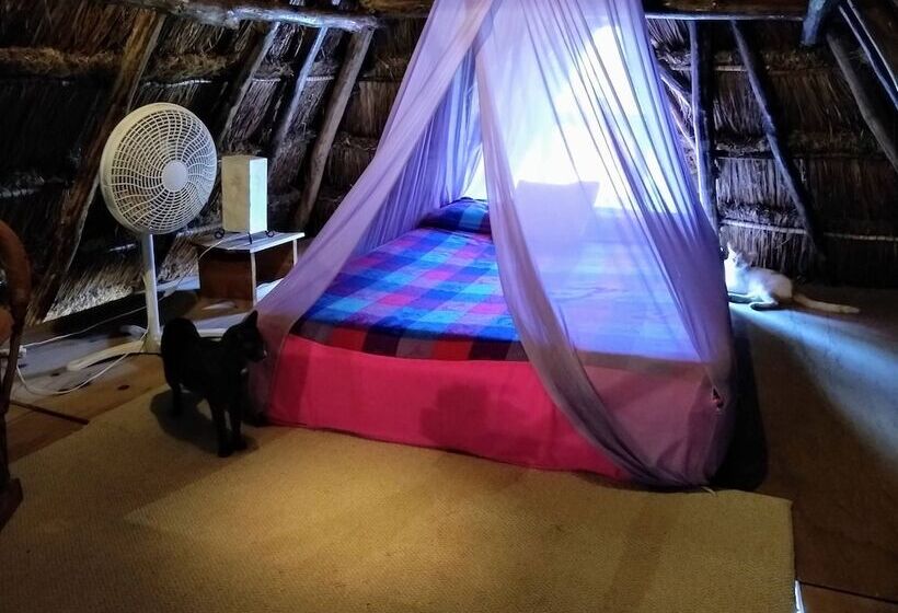 בית מלון כפרי Casitas Kinsol